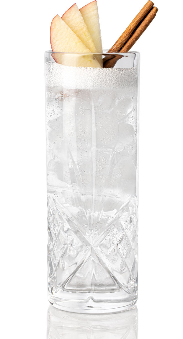 Apple Cinnamon Gin and Tonic
