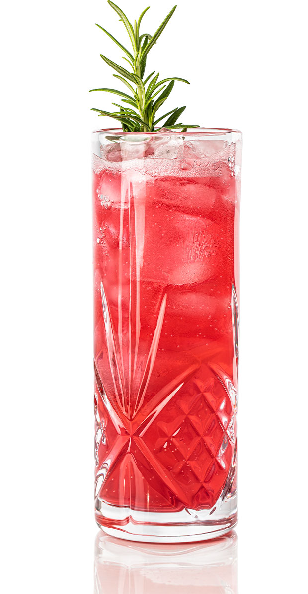 Cranberry Sauce Gin and Tonic
